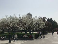 -大雁塔北广场音乐喷泉