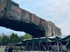 -合肥野生动物园