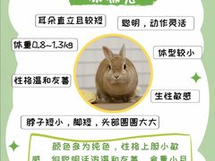 -博特宠物医院24h犬猫全科.骨科·异宠