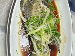 -富来美食