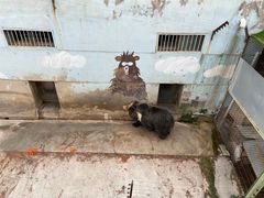 -青藏高原野生动物园