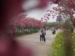 -古柏渡飞黄旅游区