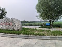 -天津东丽湖风景区