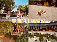 -龙华寺