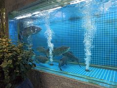 大堂-又见炊烟私房菜(敬亭路店)