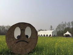 -桤木河湿地公园