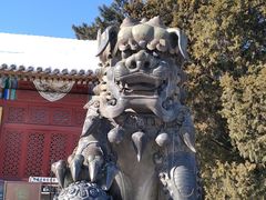 -香山公园