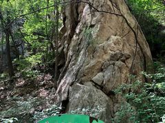 -大岭沟猕猴桃谷风景区