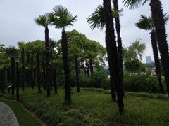 -黄兴公园