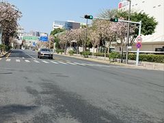 -福田红树林生态公园