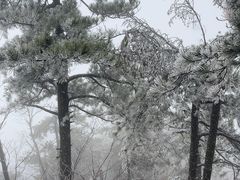 -天姥山景区