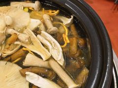 -菌之家·专业纯野生菌火锅·特色炒菌