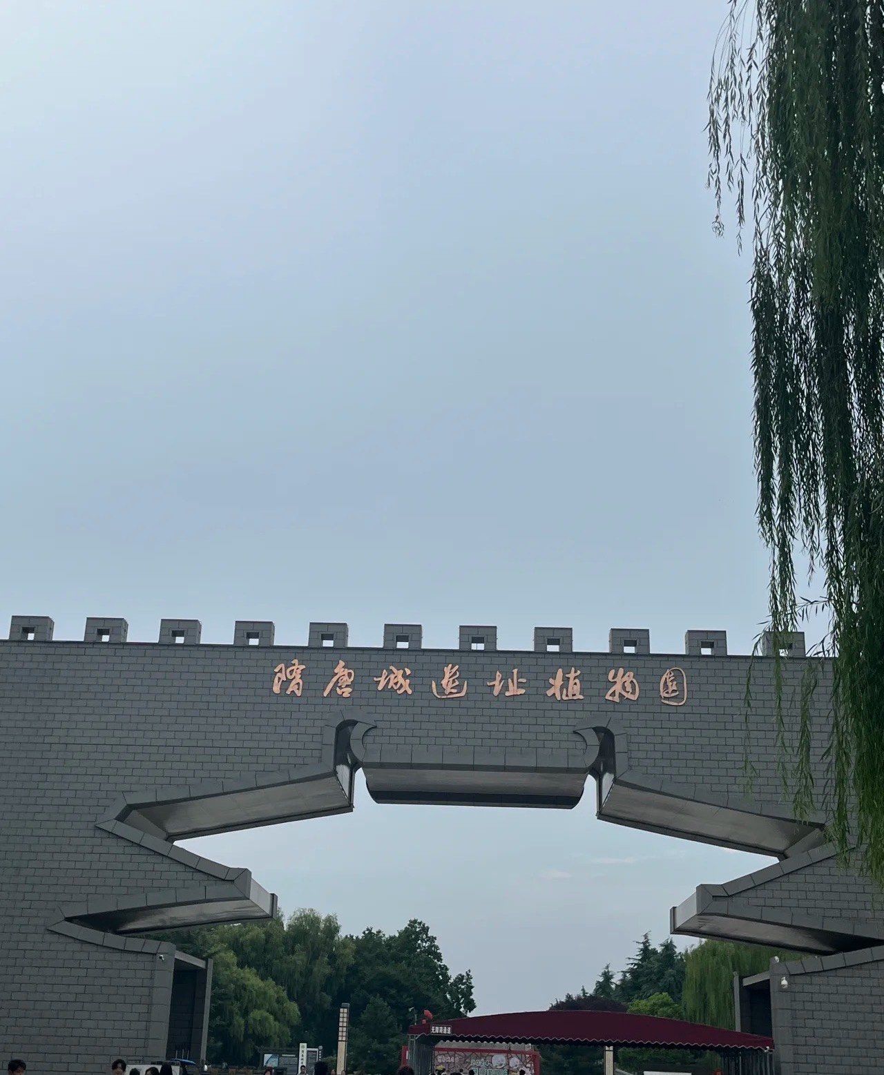 真的很好逛,里面特别大#洛阳隋唐植物园 #洛阳隋唐城遗址植物园