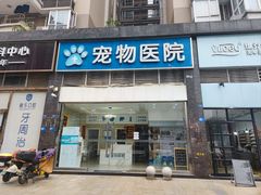 -菲尔斯特宠物医院