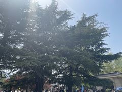 -秦始皇帝陵博物院(兵马俑)