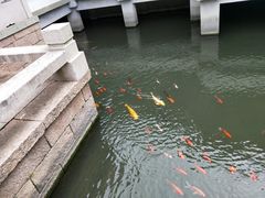 -金庸书院