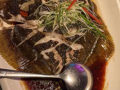 清蒸多宝鱼-上下九广州菜馆(锦业路店)