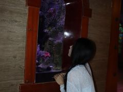 -太平洋海底世界