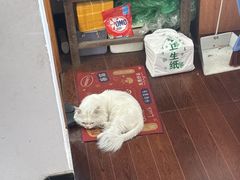 -听TA说宠咖·宠物生活馆(天韵水岸店)