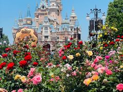 -上海迪士尼度假区