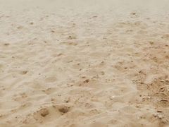 -柳湖沙月沙滩公园