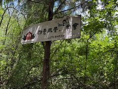 -青龙山生态文化旅游区(慈云寺)