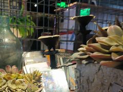 -天山醉美辣子鸡(文艺路店)