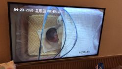 -莲生母婴月子中心(清水河公园店)