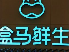 -盒马鲜生(帝斯曼店)