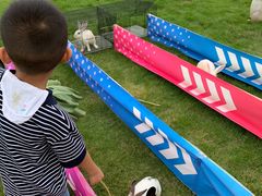 -杭州湾海上花田景区