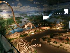 -自贡恐龙博物馆