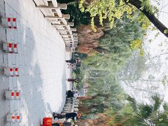 -柳侯公园