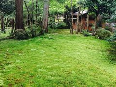 -西芳寺(苔寺)