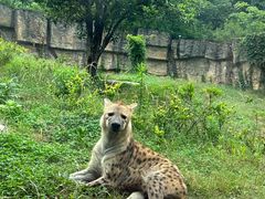 -杭州野生动物世界