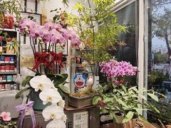 -FEI FEI FLOWER鲜花店·气球派对·宝宝宴布置(虹口德必运动Loft店)