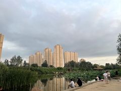 -前关湿地公园