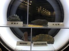 -上海儿童博物馆