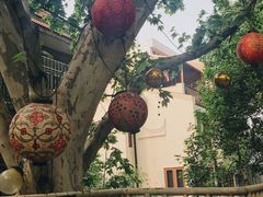 景观位-Ginger(兴国路店)