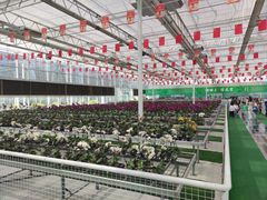 -兰陵国家农业公园