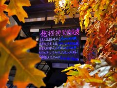 -锦上中式酒馆(南内环店)