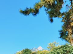 -泰山风景名胜区