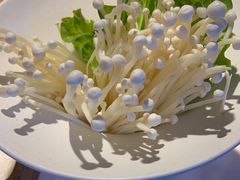-九鼎轩脆毛肚火锅(南京东路店)