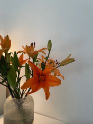 -Doria salon 小颜皮肤