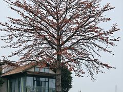 -喜洲吧·江畔老船厂·庭院餐厅(喜临院店)