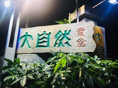 -大自然素食(望桐路店)