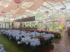 -盈香心动乐园