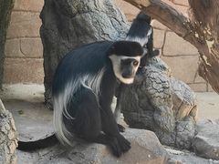 -泉州海丝野生动物世界