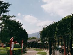 -飞来湖湿地公园