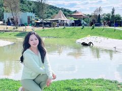 -WE ME 伴山营地·城市露营·团建策划