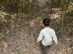 -嘉北郊野公园